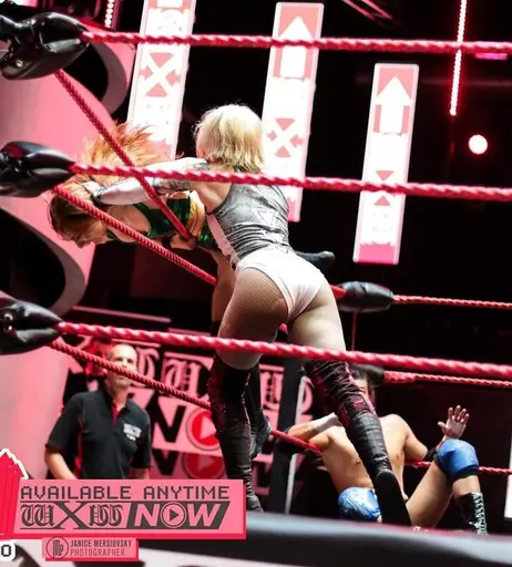 Image 4479036 from Women of Professional Wrestling