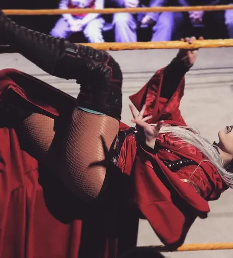 Image 4479312 from Women of Professional Wrestling