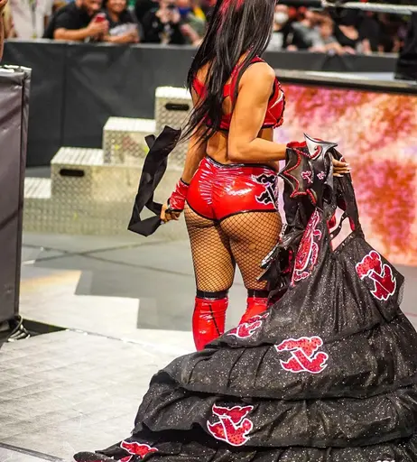 Image 4465459 from Women of Professional Wrestling