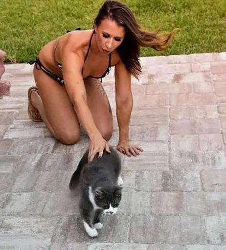 Image 4465712 from Women of Professional Wrestling