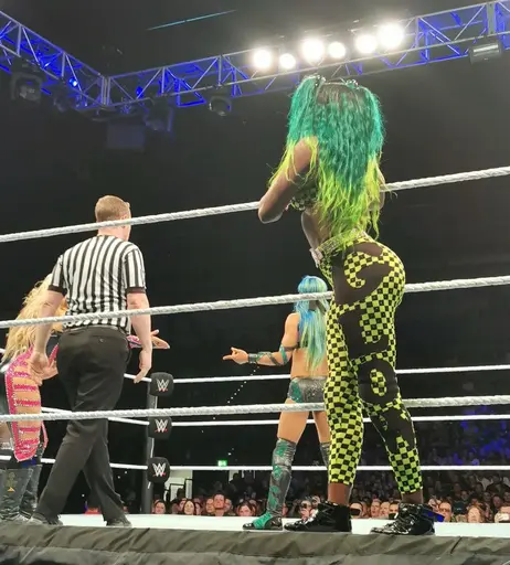 Image 4461441 from Women of Professional Wrestling