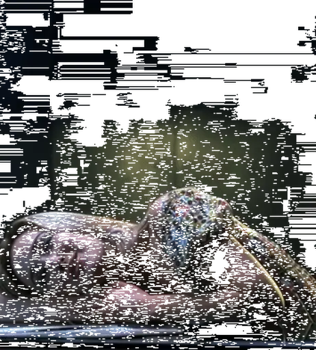 Image 4461948 from Ashley Johnson