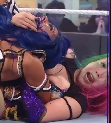 Image 4460583 from Women of Professional Wrestling