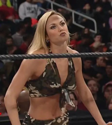 Image 4457647 from Women of Professional Wrestling
