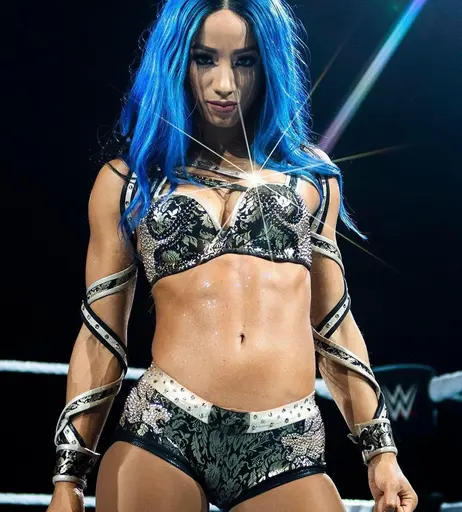 Image 4451845 from Women of Professional Wrestling