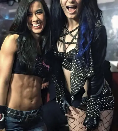 Image 4459064 from Women of Professional Wrestling