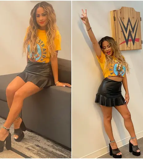 Image 4446497 from Women of Professional Wrestling