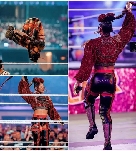 Image 4446670 from Women of Professional Wrestling