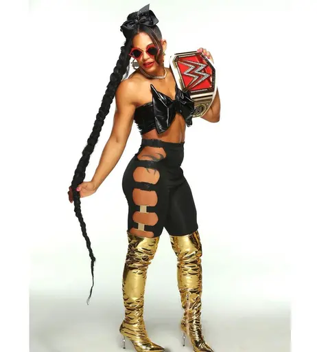 Image 4447513 from Women of Professional Wrestling