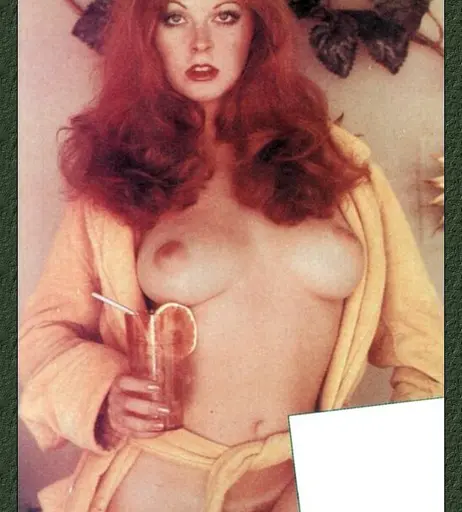 Image 4441759 from Cassandra Peterson - Elvira