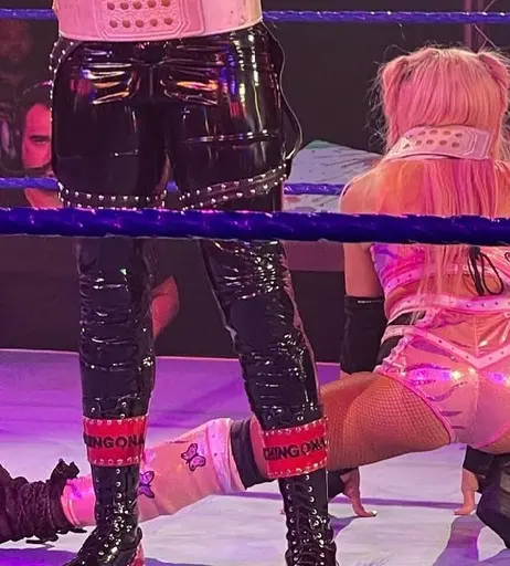 Image 4440133 from Women of Professional Wrestling