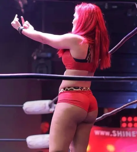 Image 4430625 from Women of Professional Wrestling