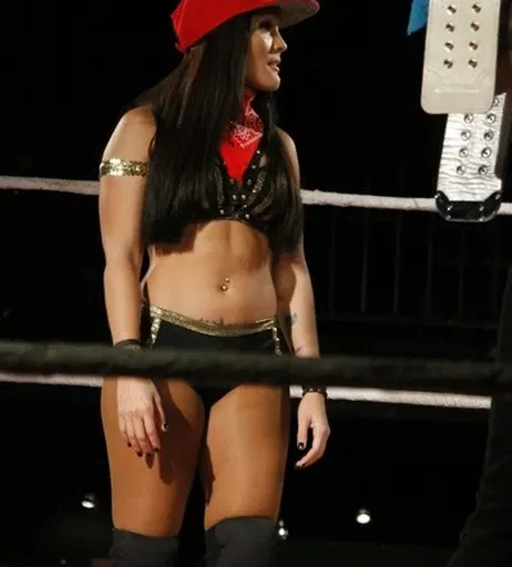 Image 4430149 from Women of Professional Wrestling