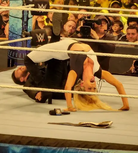 Image 4439577 from Women of Professional Wrestling