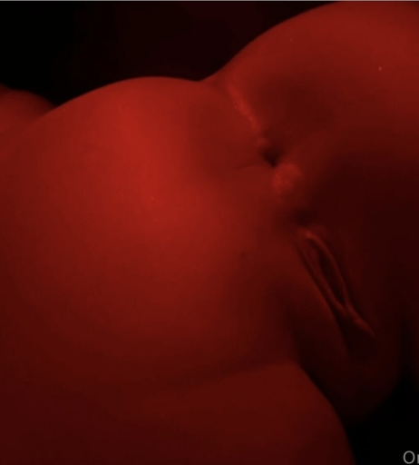Image 443879 from Sabina Triolo