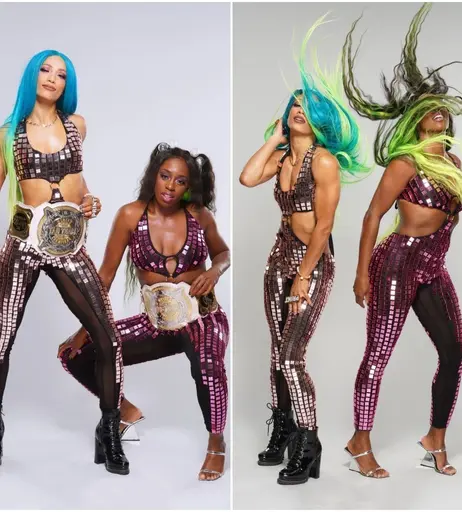Image 4421687 from Women of Professional Wrestling