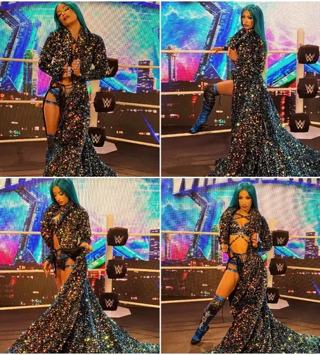 Image 4421614 from Women of Professional Wrestling