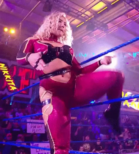 Image 4415157 from Women of Professional Wrestling