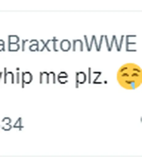 Image 4406840 from Women of Professional Wrestling