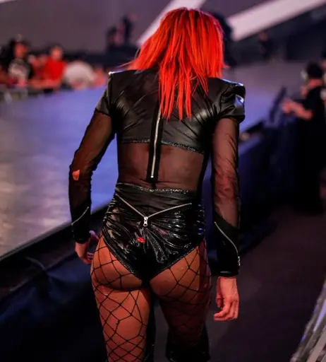 Image 4407207 from Women of Professional Wrestling
