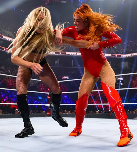 Image 4401126 from Women of Professional Wrestling