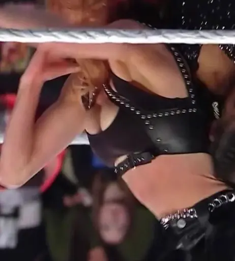 Image 4401026 from Women of Professional Wrestling