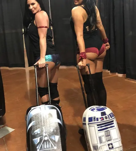 Image 4402814 from Women of Professional Wrestling