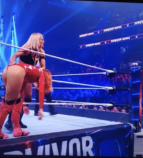 Image 4402199 from Women of Professional Wrestling