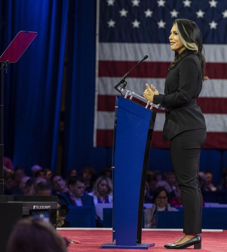 Image 4589156 from Tulsi Gabbard