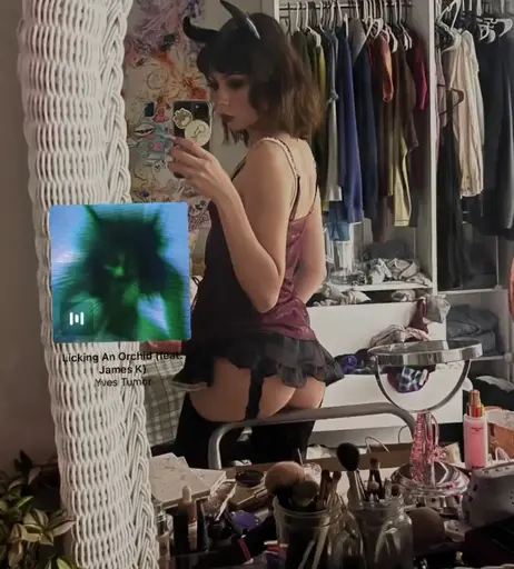 Image 4768412 from PizzL1zard / AphexTwink96