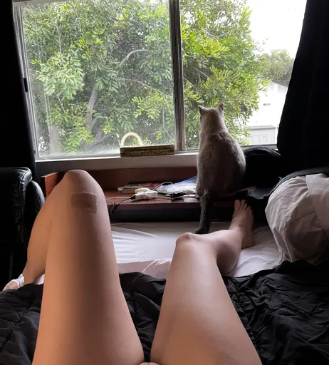Image 4724701 from xxbabydevilxx