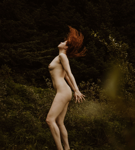 Image 7192557 from Icelandic Selkie