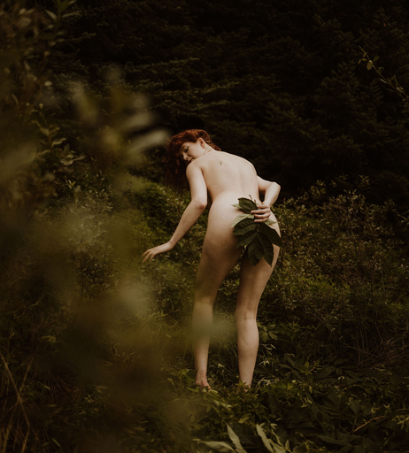 Image 7192542 from Icelandic Selkie