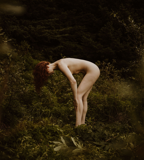 Image 7192547 from Icelandic Selkie