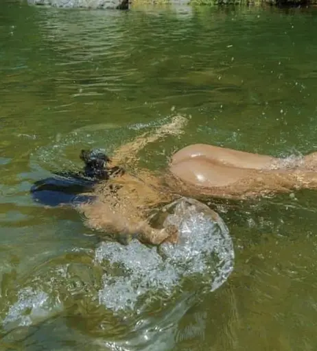 Image 7175363 from tokischa peralta