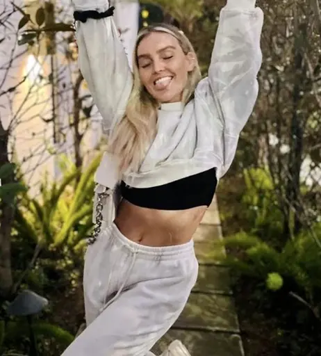 Image 7177311 from Perrie Edwards