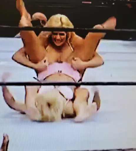 Image 7160819 from WWE Torrie Wilson