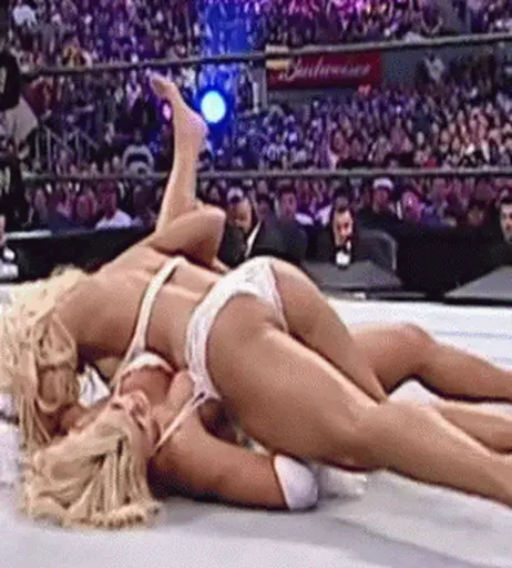 Image 7160769 from WWE Torrie Wilson