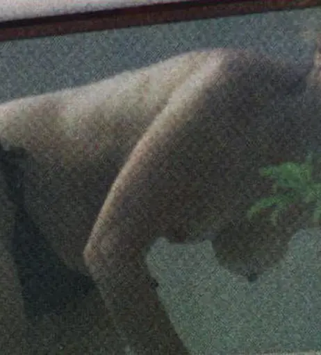Image 7150403 from Coronation Street Girls