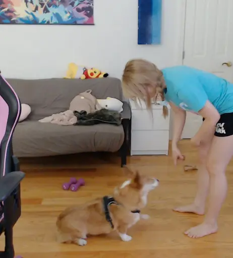 Image 7144623 from AngelsKimi (Plushys)
