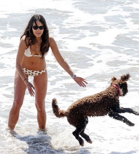 Image 7375519 from Jordana Brewster