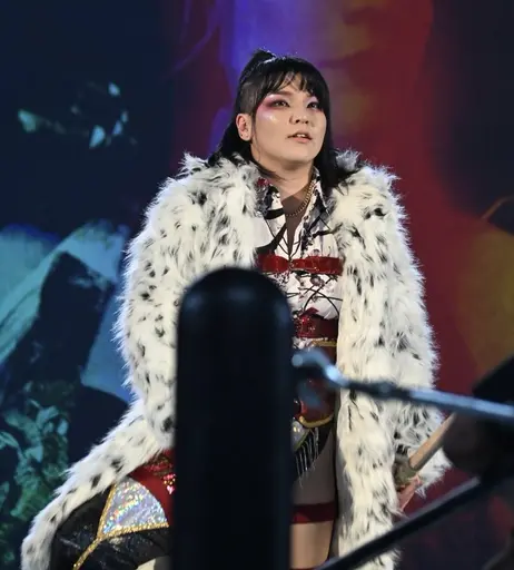 Image 7354368 from AEW Hikaru Shida