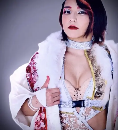 Image 7349553 from AEW Hikaru Shida