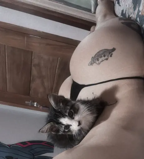Image 7338792 from Yasmim Cat
