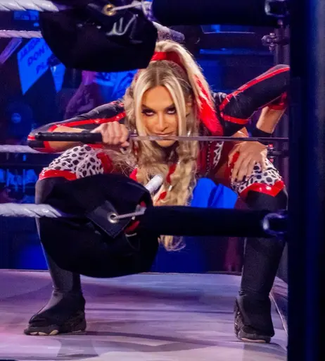 Image 7970910 from Karmen Petrovic - WWE NXT
