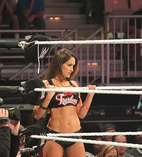 Image 7961258 from The Bella Twins: Nikki Bella &amp; Brie Bella | Garcia Twins