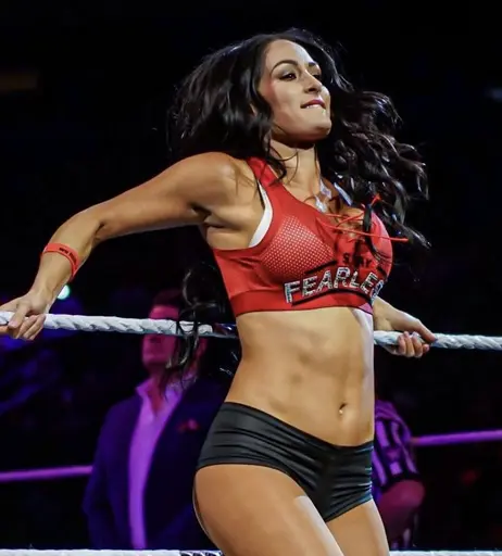 Image 7961261 from The Bella Twins: Nikki Bella &amp; Brie Bella | Garcia Twins