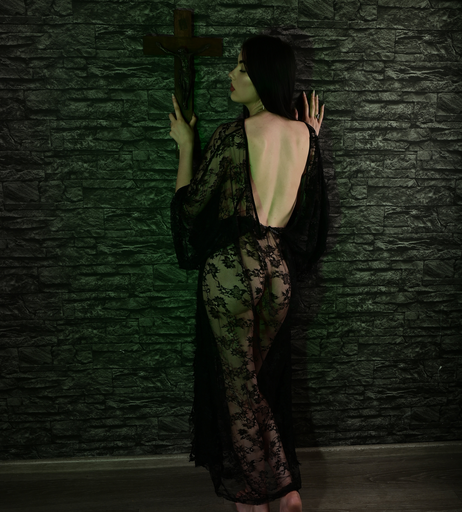 Image 7946694 from The Succubus Lilith