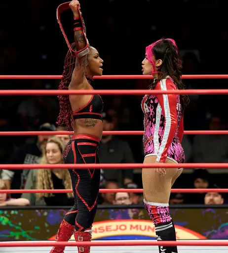 Image 7926122 from Women of Professional Wrestling