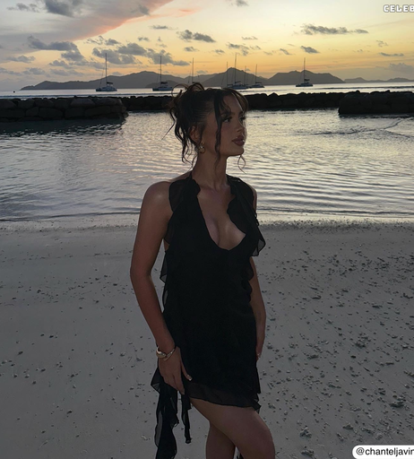 Image 792232 from Chanteljavin